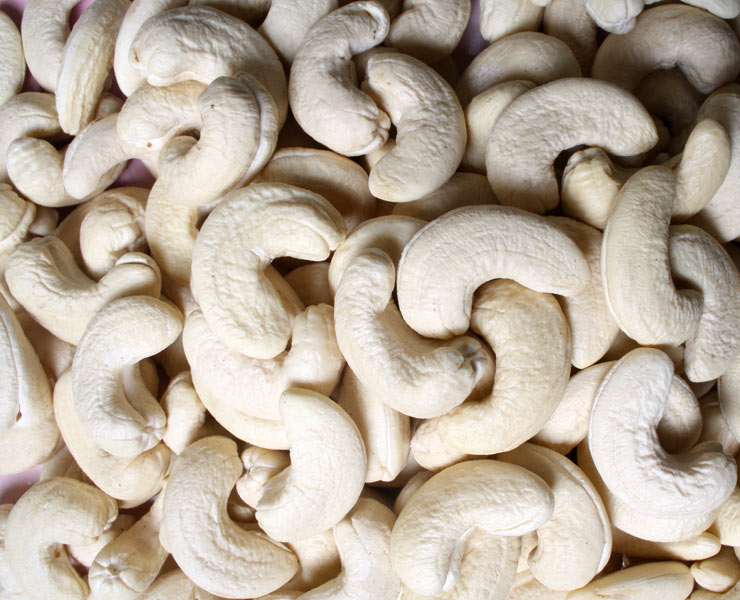 cashew-nuts-packing-tin-box-halal-organic